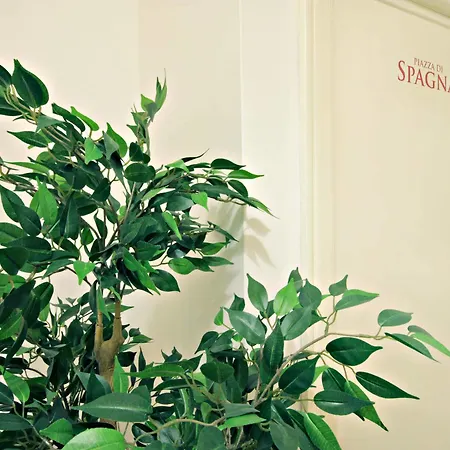 Le Piazze Di Roma Bed & Breakfast Exterior photo
